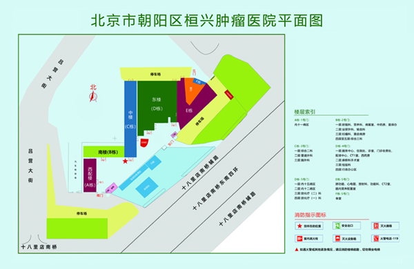 日逼免费看北京市朝阳区桓兴肿瘤医院平面图